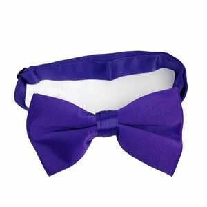 Royal Mardi Gras Purple Adjustable Bow Tie Wedding